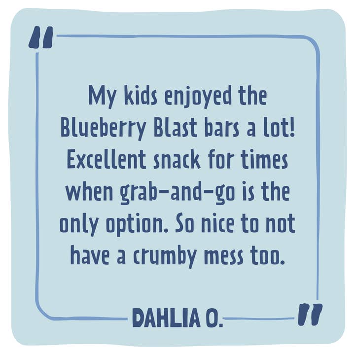 Skout Organic - Vendita all'ingrosso Barrette - Barretta Snack per Bambini Skout Organic Blueberry Blast | Senza Frutta a Guscio4