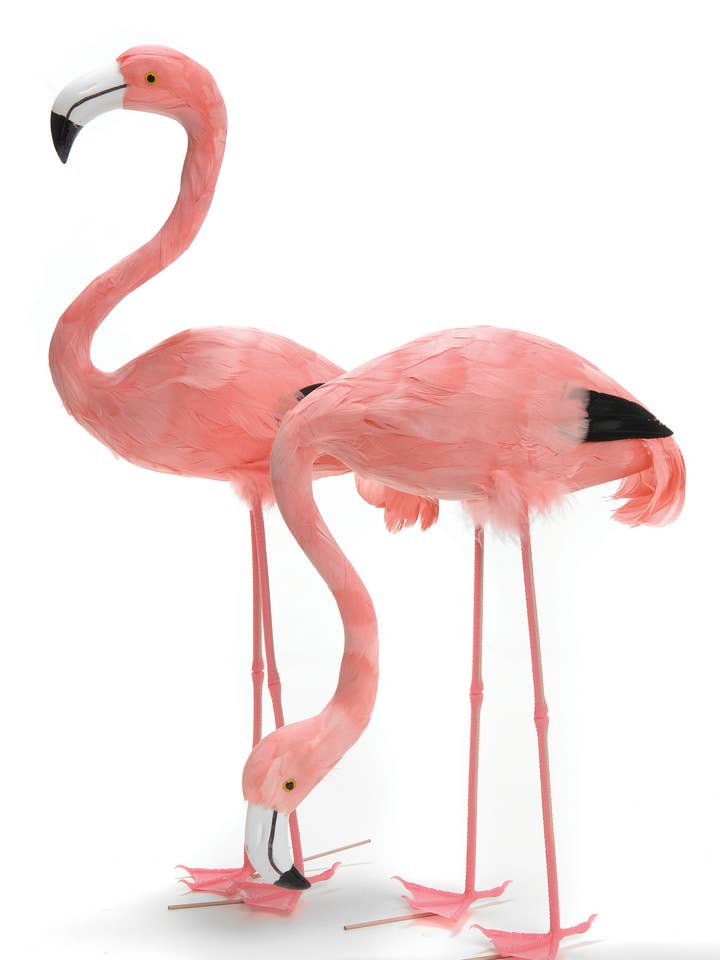 FLAMINGO STANDING & FEEDING 22/15" for wholesale by Studio Specialties