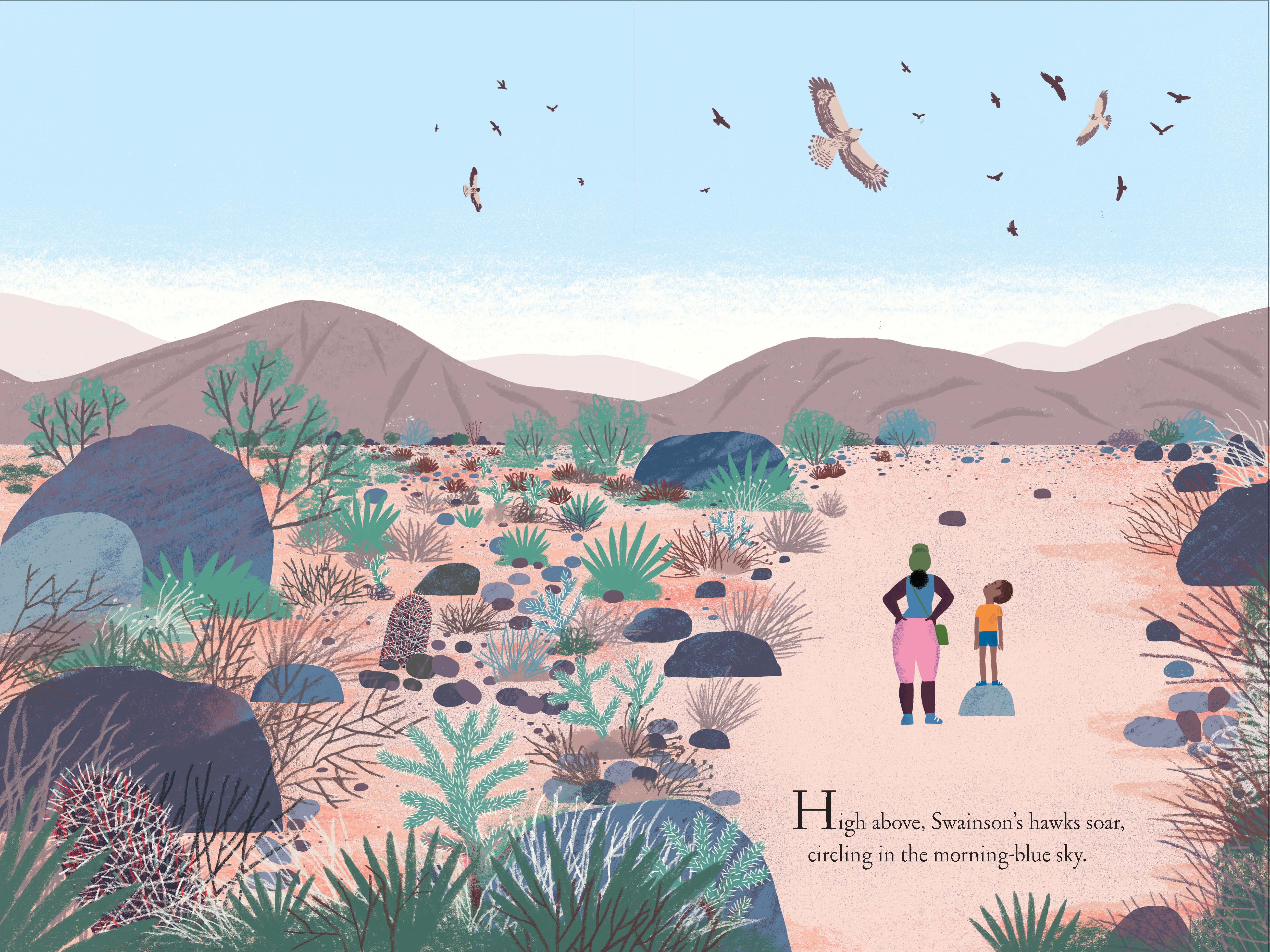 Chronicle Books - Wholesale Nature & Outdoors - Over and Under the Canyon4