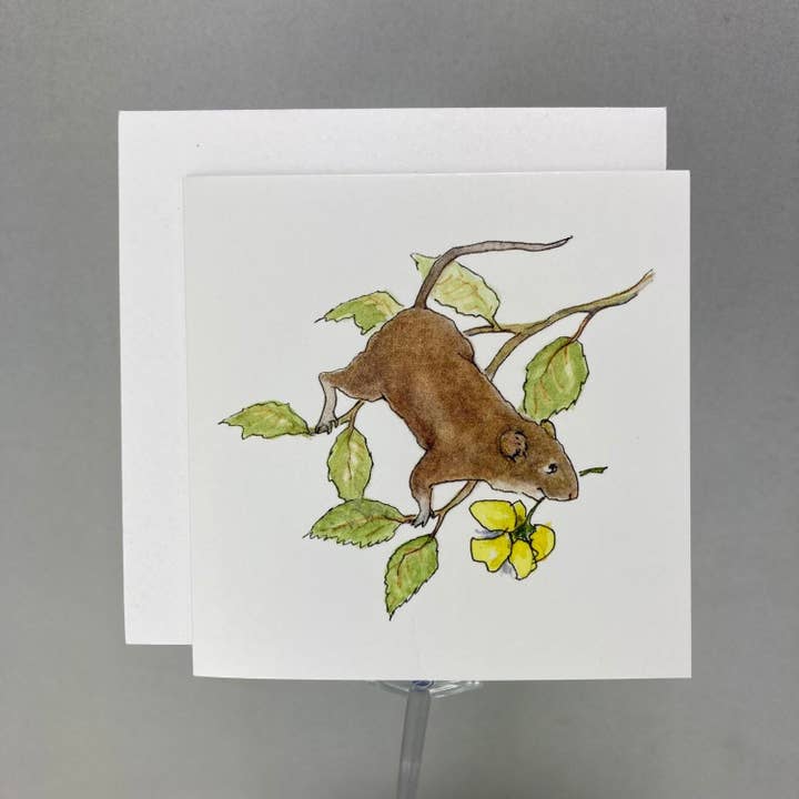 Woodfield Press - Wholesale Stationery/Notecard Set - #6020B - Buttercup Enclosure Cards1