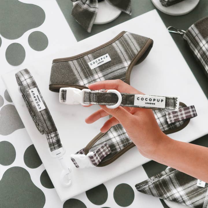 Olive Check COLLAR for wholesale by Cocopup London