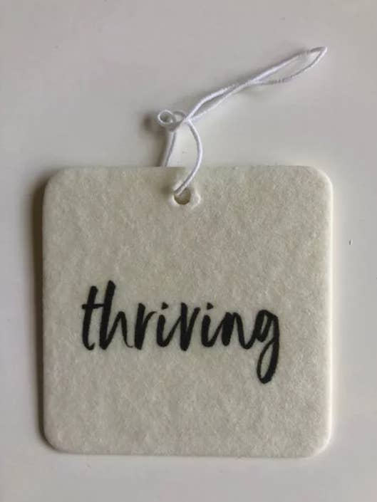 Thriving for wholesale by Inspo To-Go