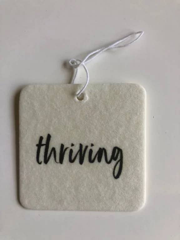 Prosperando por atacado de Inspo To-Go