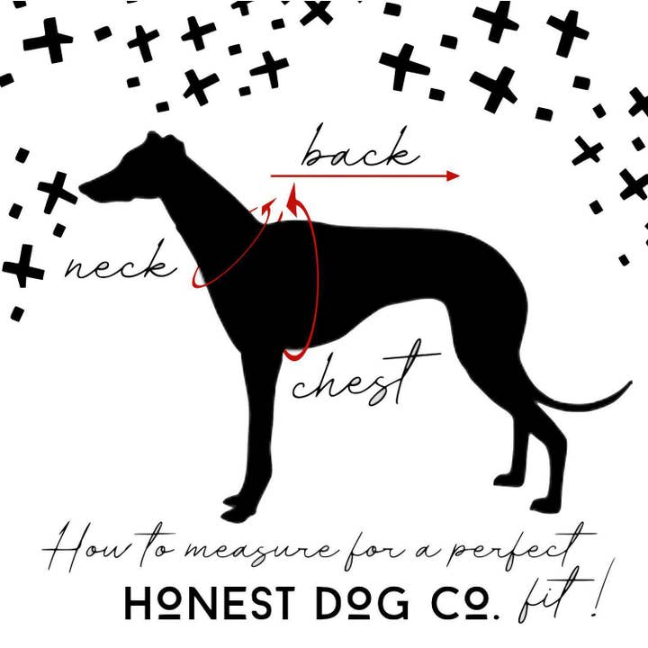 The Honest Dog Company – wholesale Klänning - Hund – 2Pac röd Bandana hund klänning