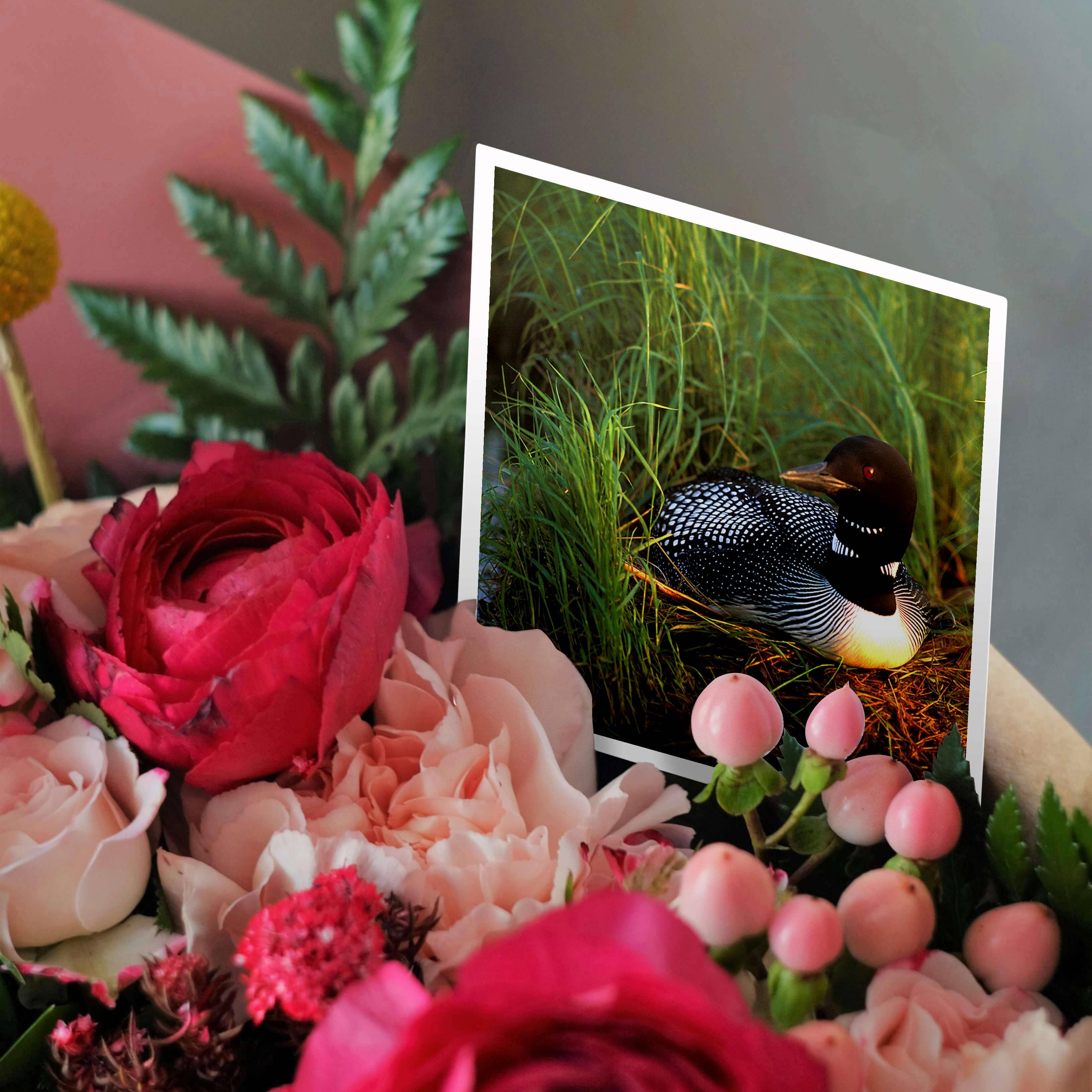 3dRose – wholesale Vardagliga hälsningskort – 3dRose, Minnesota, Storlom, Leech Lake - US24 PHA0015 - Peter Hawkins, Gratulationskort2