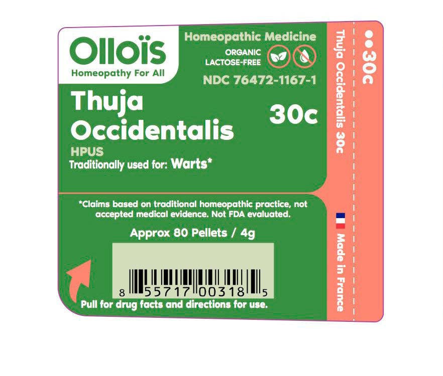 Ollois - Wholesale Oral Supplement/Vitamin - Ollokit Home Kit - 20 Homeopathic Remedies28