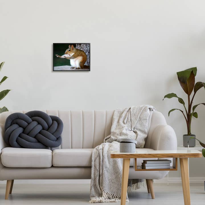 Stupell Industries – wholesale Art print – Funny Shocked Pose Squirrel Framed