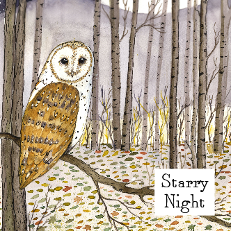 Heaven Scent Incense Ltd – Engroshandel Fyrfadslys – Vinter/efterårskollektion 2 - Æske med 9 duftende fyrfadslys3