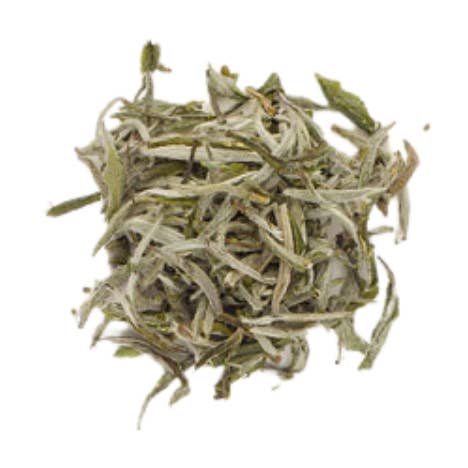 Thé blanc Silver Needles Premium pour la vente par T BAR TEA