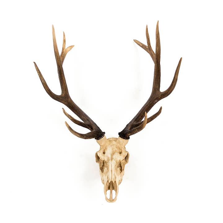 Off-White Deer Skull Wall Decor for wholesale on Faire
