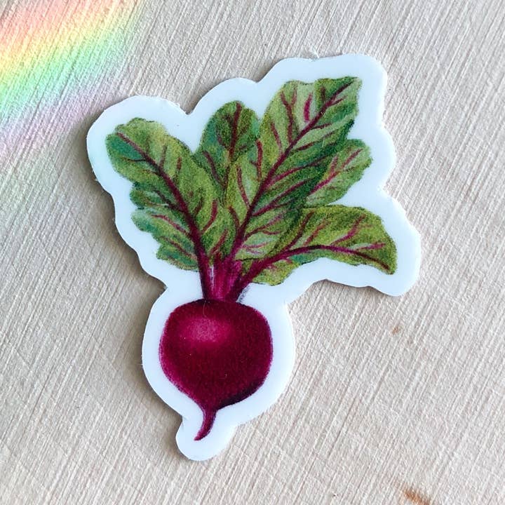 Mini Beet Sticker for wholesale by Art by Anya Toelle