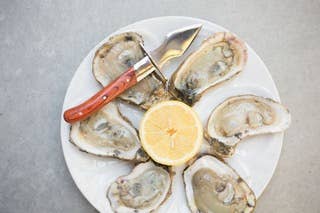 Charleston Shucker Company - Wholesale Kitchen/Utility Knife - SALE: The Carolina Shucker7