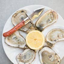 Charleston Shucker Company – Faca de cozinha/utilitário por atacado – PROMOÇÃO: O Carolina Shucker7