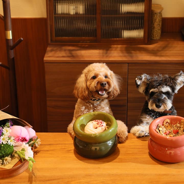 PEHOM - Wholesale Pet Bowl - Cat/Dog - Soufflé Pet Bowl - Avocado Green