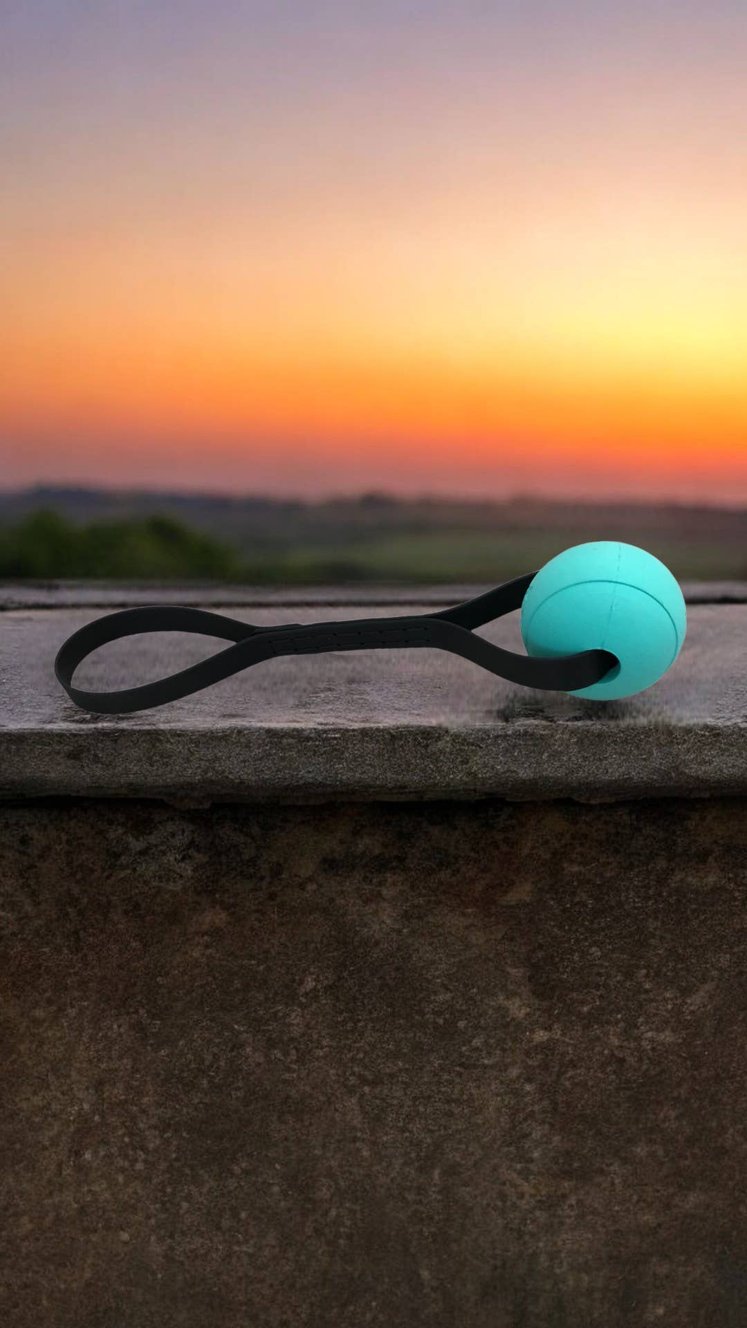 GoodWalk Collars & Leashes | Waterproof Gear for Dogs - Wholesale Pet Fetch Ball - Dog - Dog Fetch Ball | Tug Toy | Waterproof | Vegan Leather Handle2