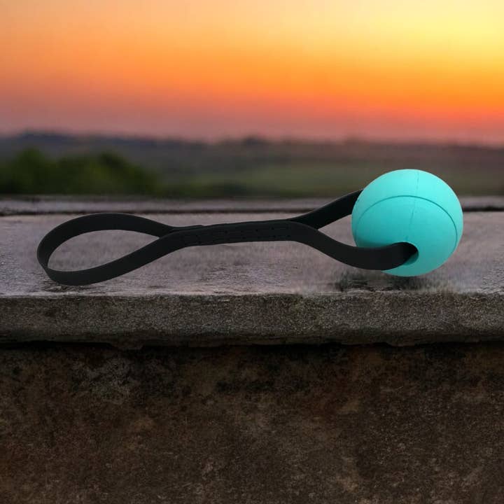 GoodWalk Collars & Leashes | Waterproof Gear for Dogs - Venta al por mayor Pelota - Perros - Pelota para Perro para Buscar y Jalar | Mango Impermeable de Cuero Vegano2