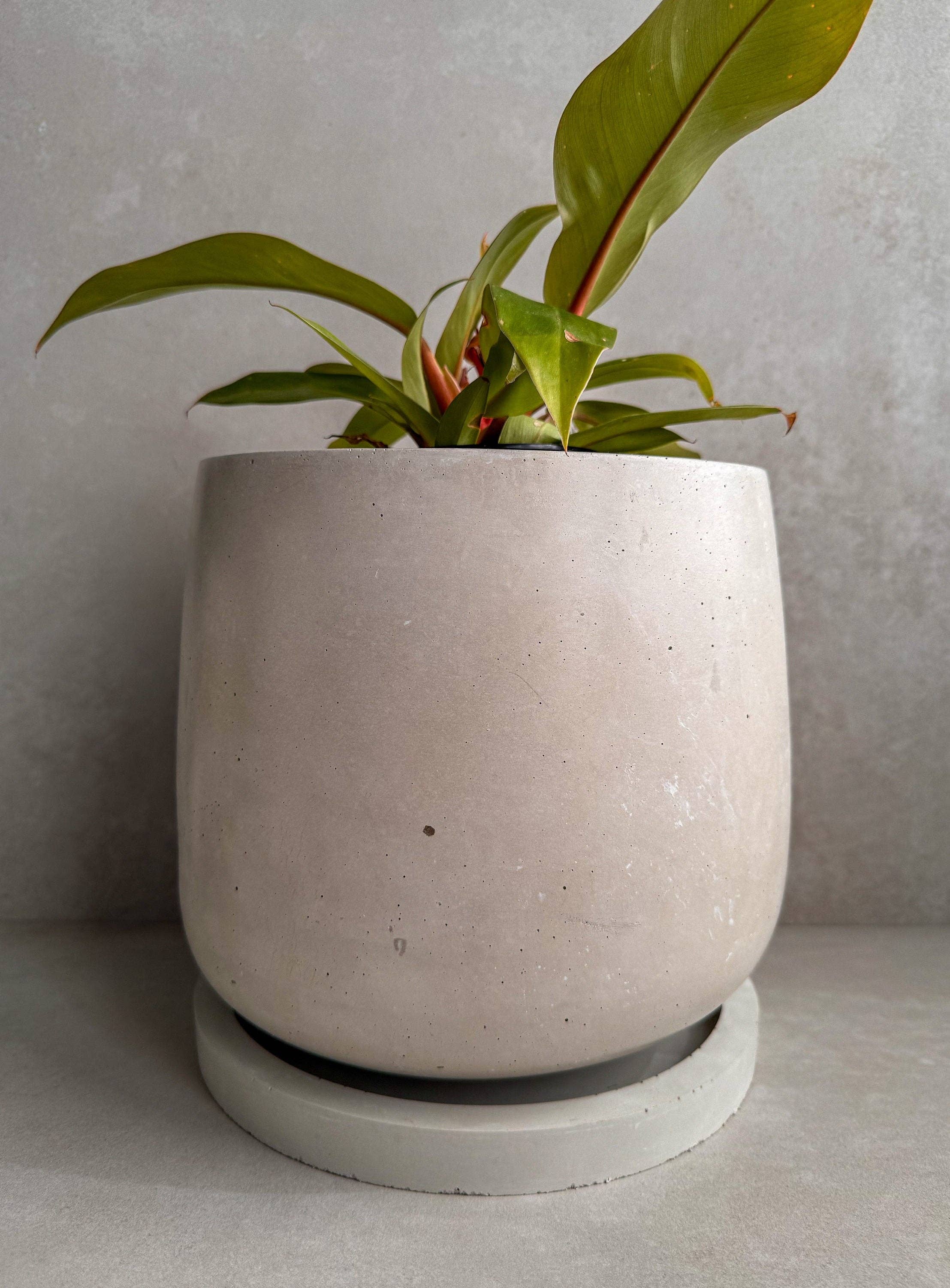Minimal Loot Design - Vente Pot - Jardinière en béton avec soucoupe, grand pot de fleurs moderne, jardinière à bulles, pot en ciment décoratif, pot minimaliste avec drainage, grand pot nordique1