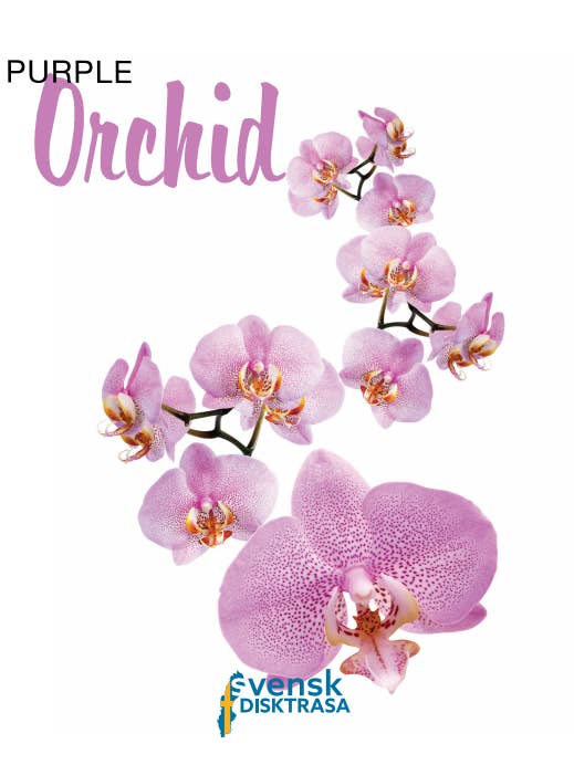 Orchid Swedish Dishcloth for wholesale by Kit Carson Accessories