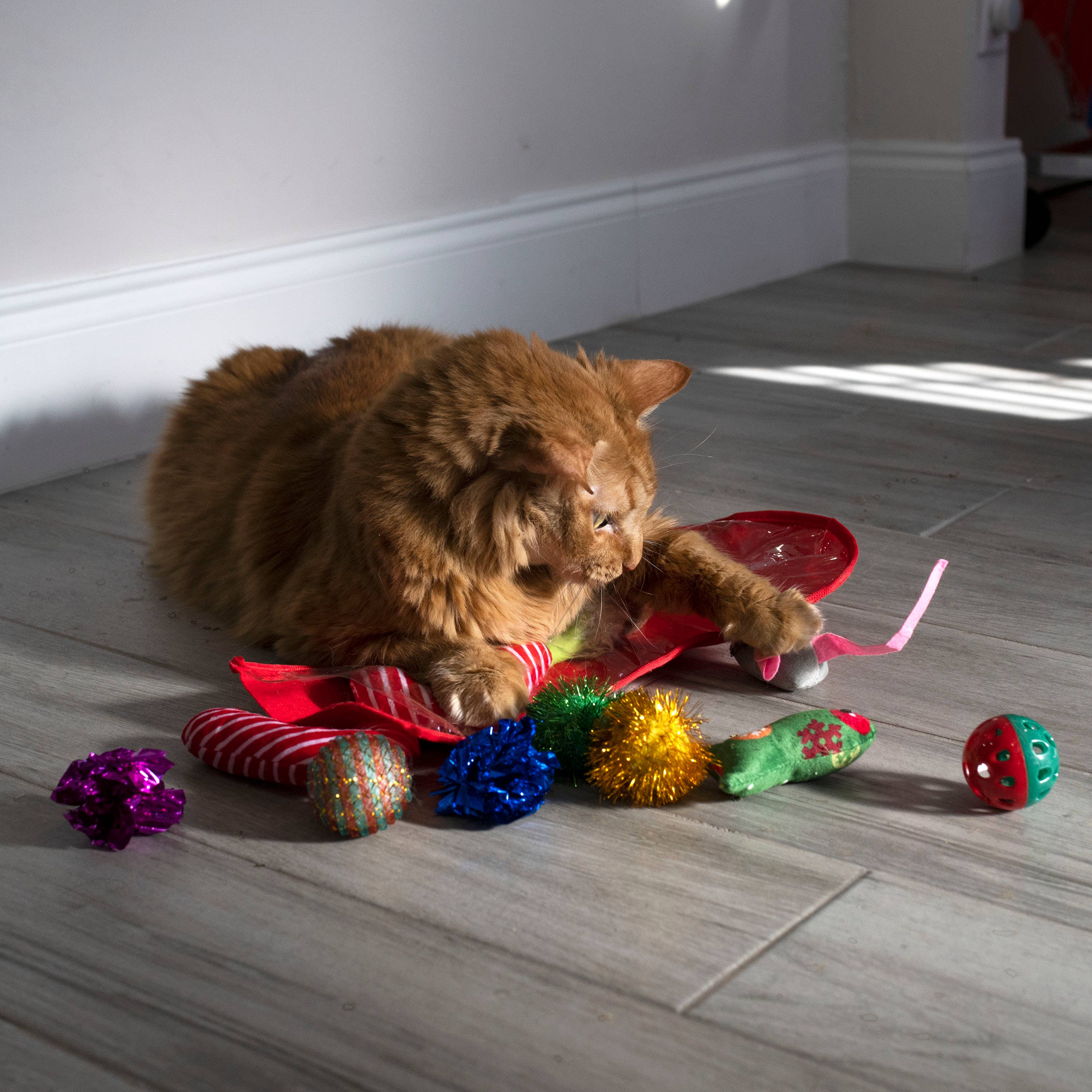 Midlee Designs – Engroshandel Legetøjssæt - Kat – Midlee Christmas Strømpe Cat Toy Gavesæt (14 Legetøj)9