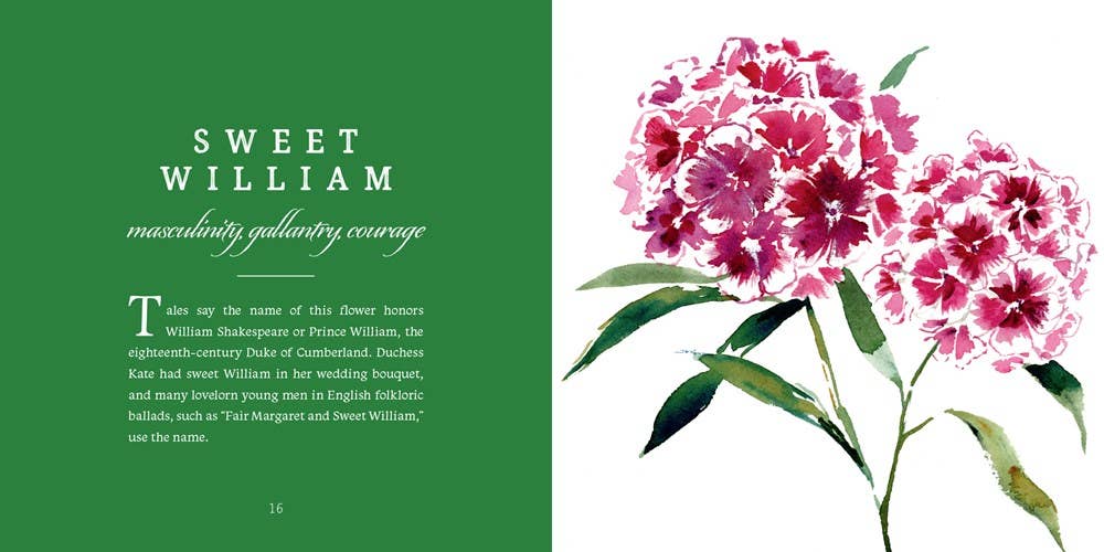 Gibbs Smith - Wholesale Nature & Outdoors Book - Language of Flowers1