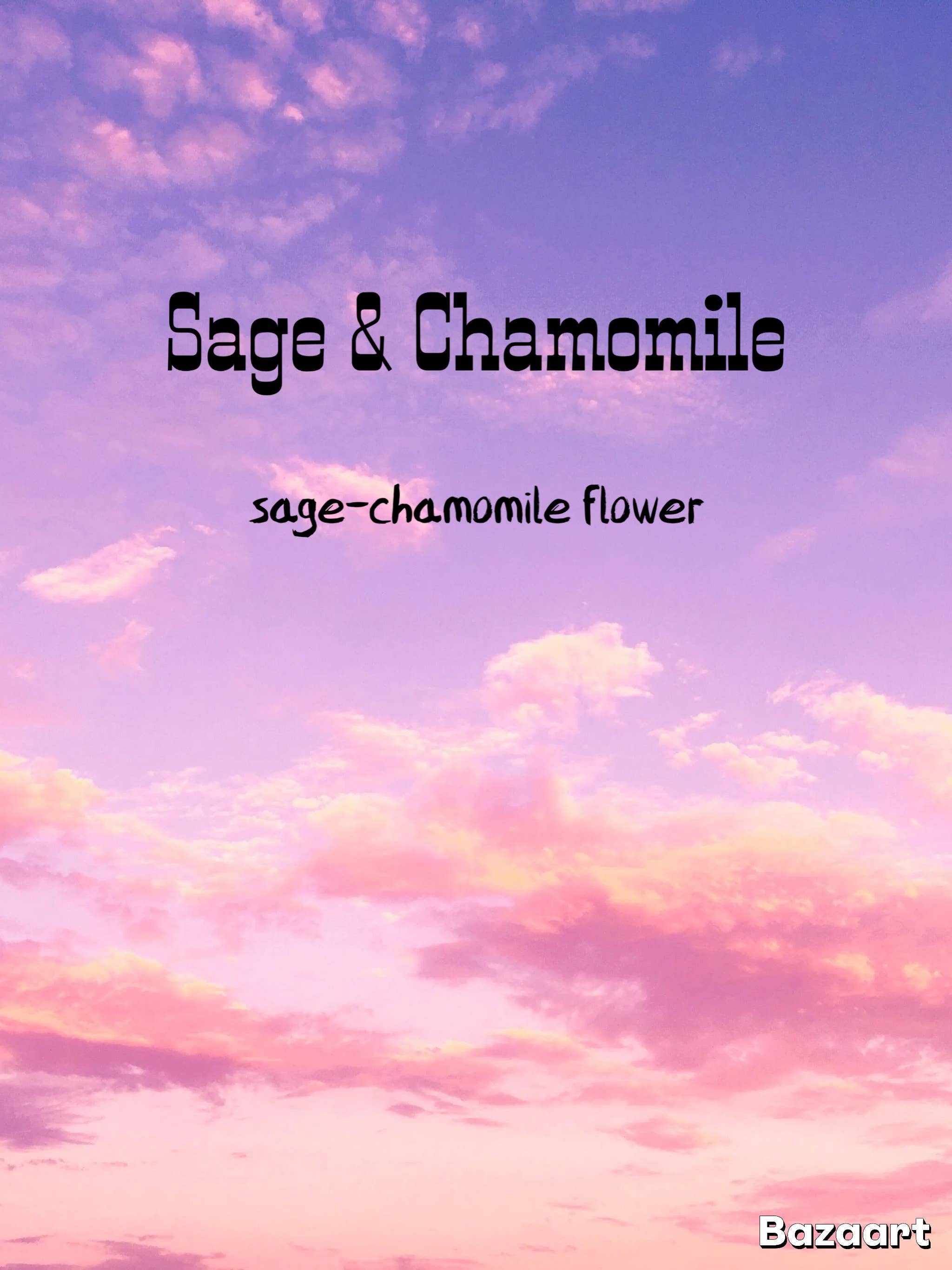 Purple Sky Incense - Vendita all'ingrosso Incensi - Salvia & Camomilla ~ Bastoncini di Incenso Naturale ~ 12 Bastoncini1