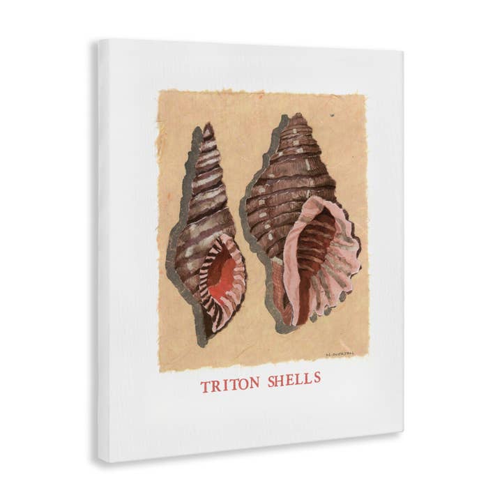 Stupell Industries - Wholesale Wall Sign - Triton Shell Pair - Unframed Wall Art10