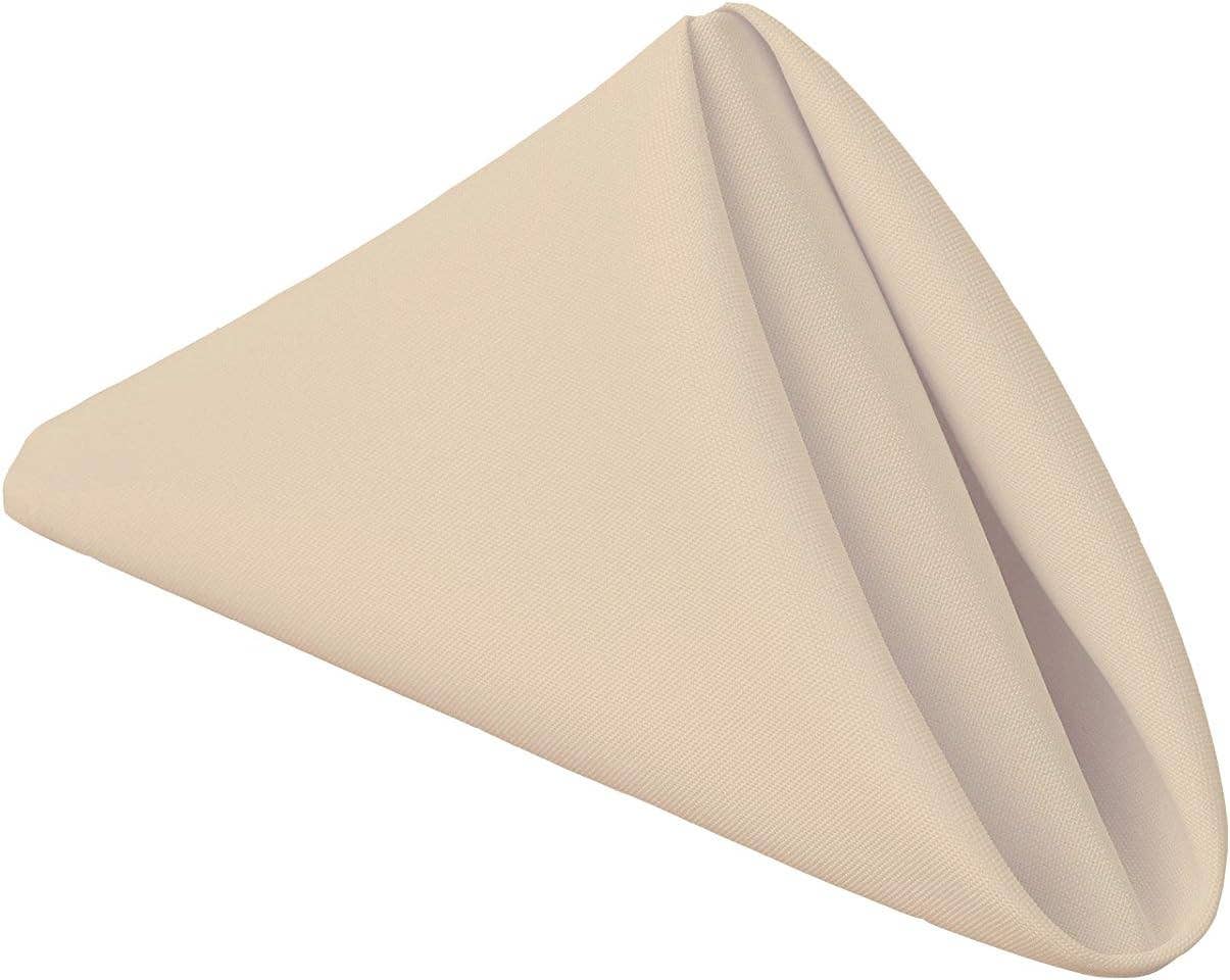 Gee Di Moda - Wholesale Dinner & Cloth Napkin - Heavy Duty Washable Polyester Cloth Napkins - 17x17 inch15
