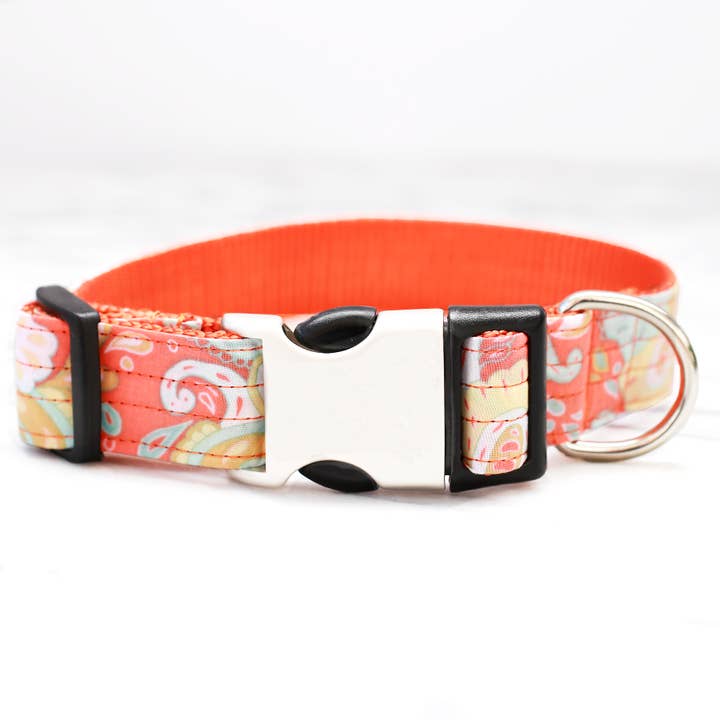 Orange Designer Paisley Dog Collar ‘Paisley’ for wholesale by Mimi Green