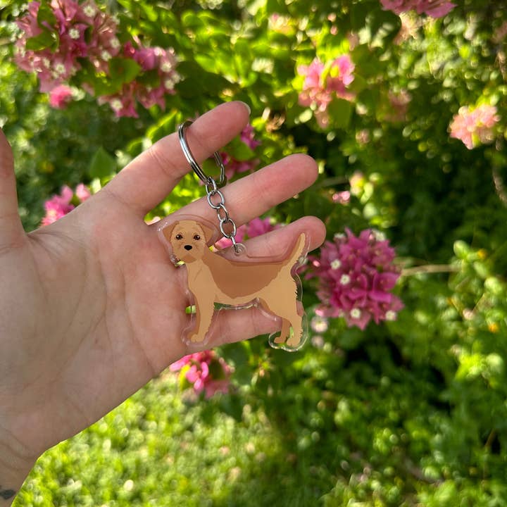 Prime Shiba - Wholesale Keychain - Women's - Border Terrier Dog 2.5in Acrylic Keychain