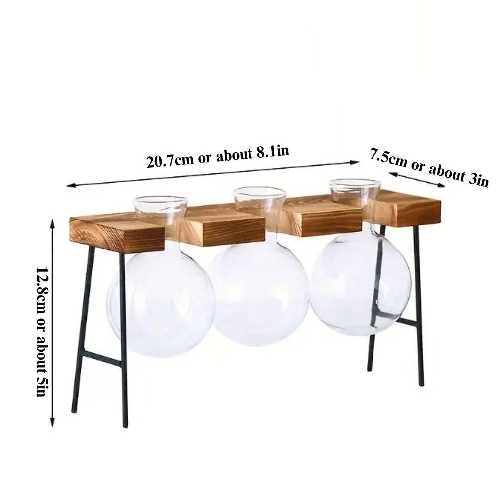 Moderny - Wholesale Plant pot - Hydroponic Glass Planter6