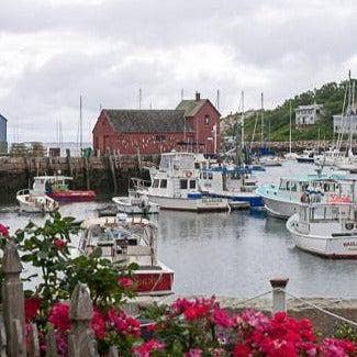 Rockport Candle Company - Wholesale Jar/Filled Candle - 18 Beach Roses Candle3