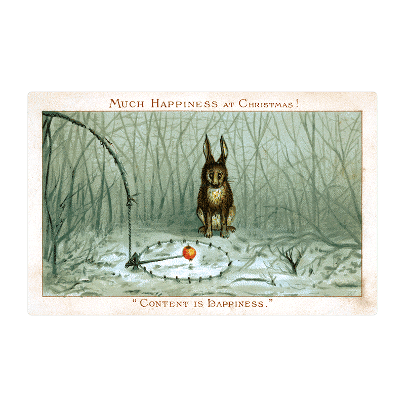 Laughing Elephant - Wholesale Postcard - We Wish You a Crazy Christmas Postcard Book -  Postcards16