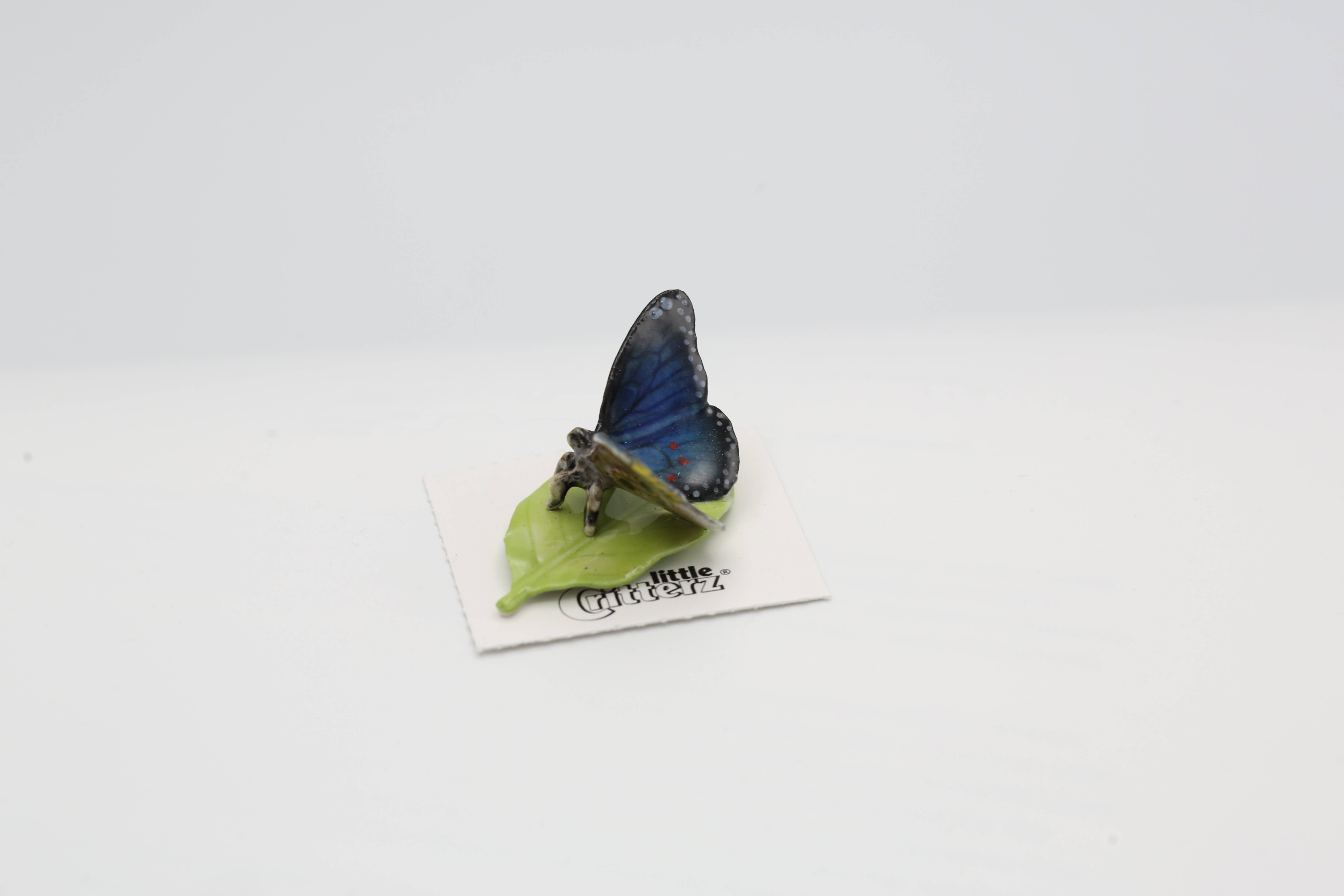 Little Critterz - Wholesale Decorative Figurine - Venus Blue Morpho Butterfly Porcelain Miniature1