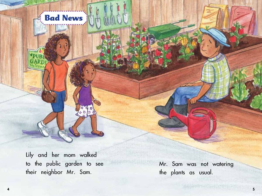 Lee & Low Books Inc - Vendita all'ingrosso Early Reader Book (6-8) - La protesta (Confetti Kids #10) di Samantha Thornhill1