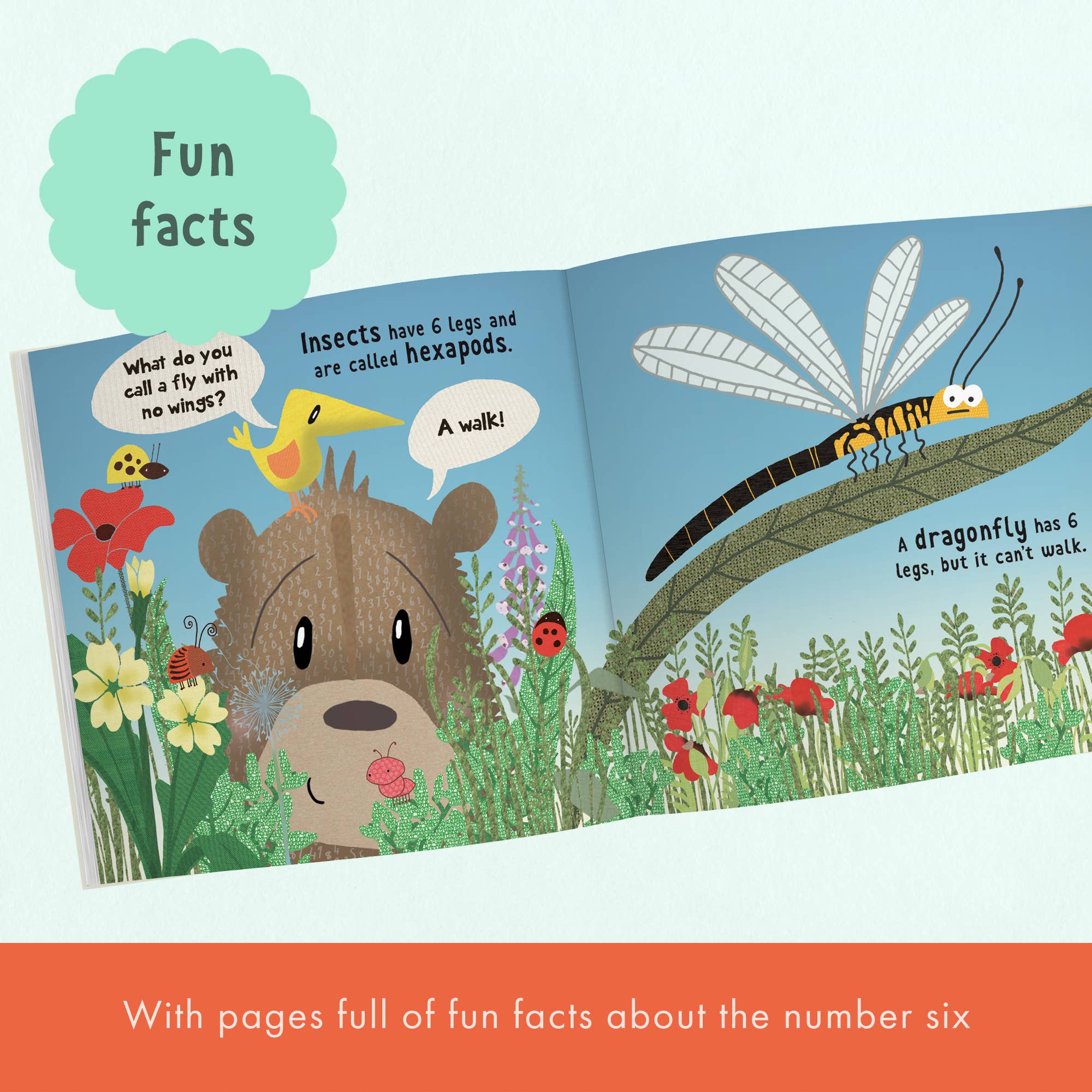 FROM YOU TO ME Gifts – wholesale Birthday card – Wow! You're 6 | Age Cards | Age Birthday Card Book | Age 6 5