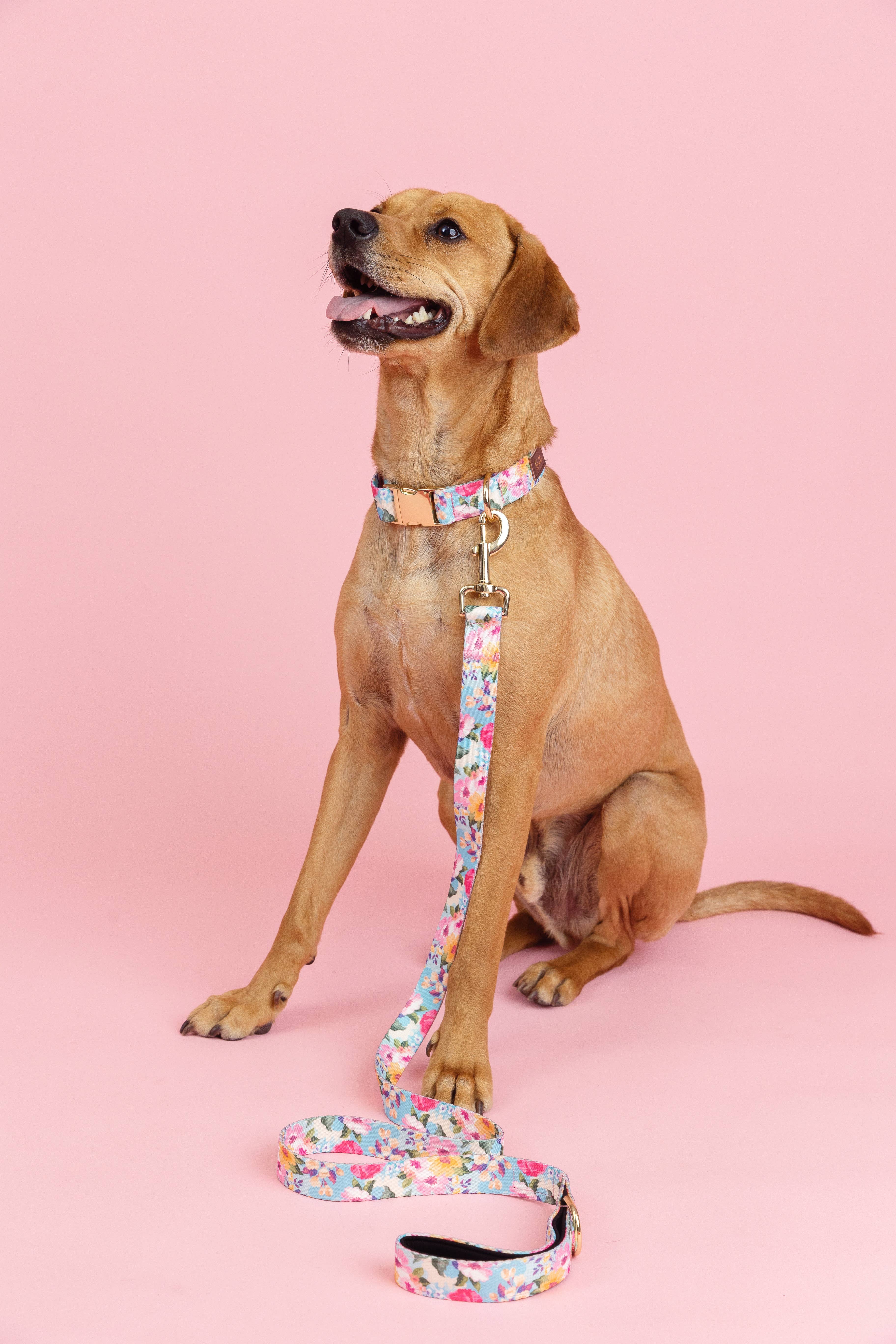 Pink Papyrus | Premium, Durable, & Stylish Dog Products - Wholesale Pet Collar - Dog - Emery Dog Collar | Floral Dog Collar | Dog Collar3