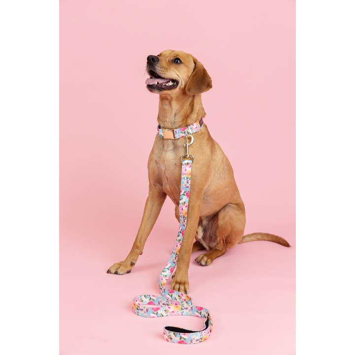 Pink Papyrus | Premium, Durable, & Stylish Dog Products - Wholesale Pet Collar - Dog - Emery Dog Collar | Floral Dog Collar | Dog Collar3