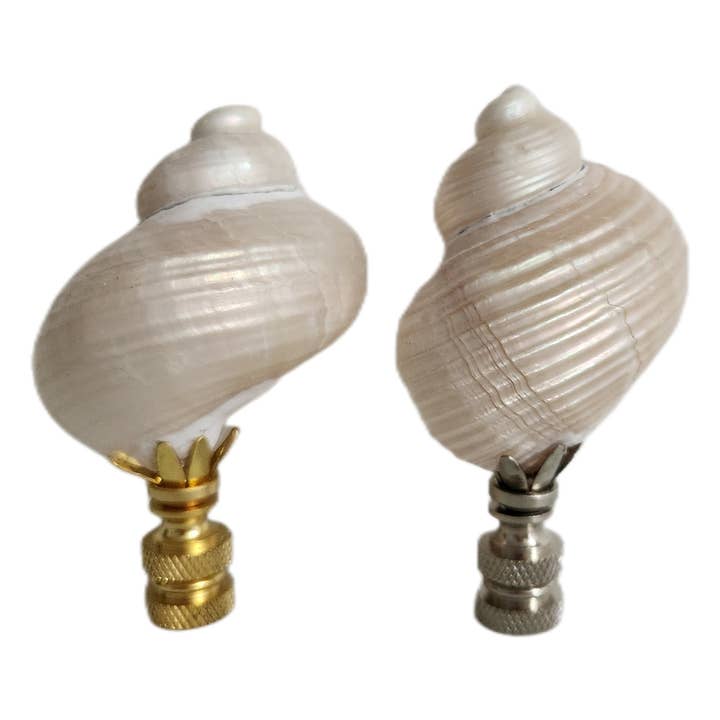 Par, Conjunto de Turbo Pearl Setosus de Conchas Marinas para Lámpara, Juego de 2 para venta al por mayor de White Tulip Boutique