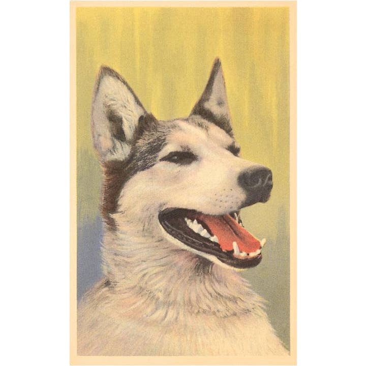 Found Image Press - Venta al por mayor Imanes - Imán DG-116 Perro de Trineo Sonriente
