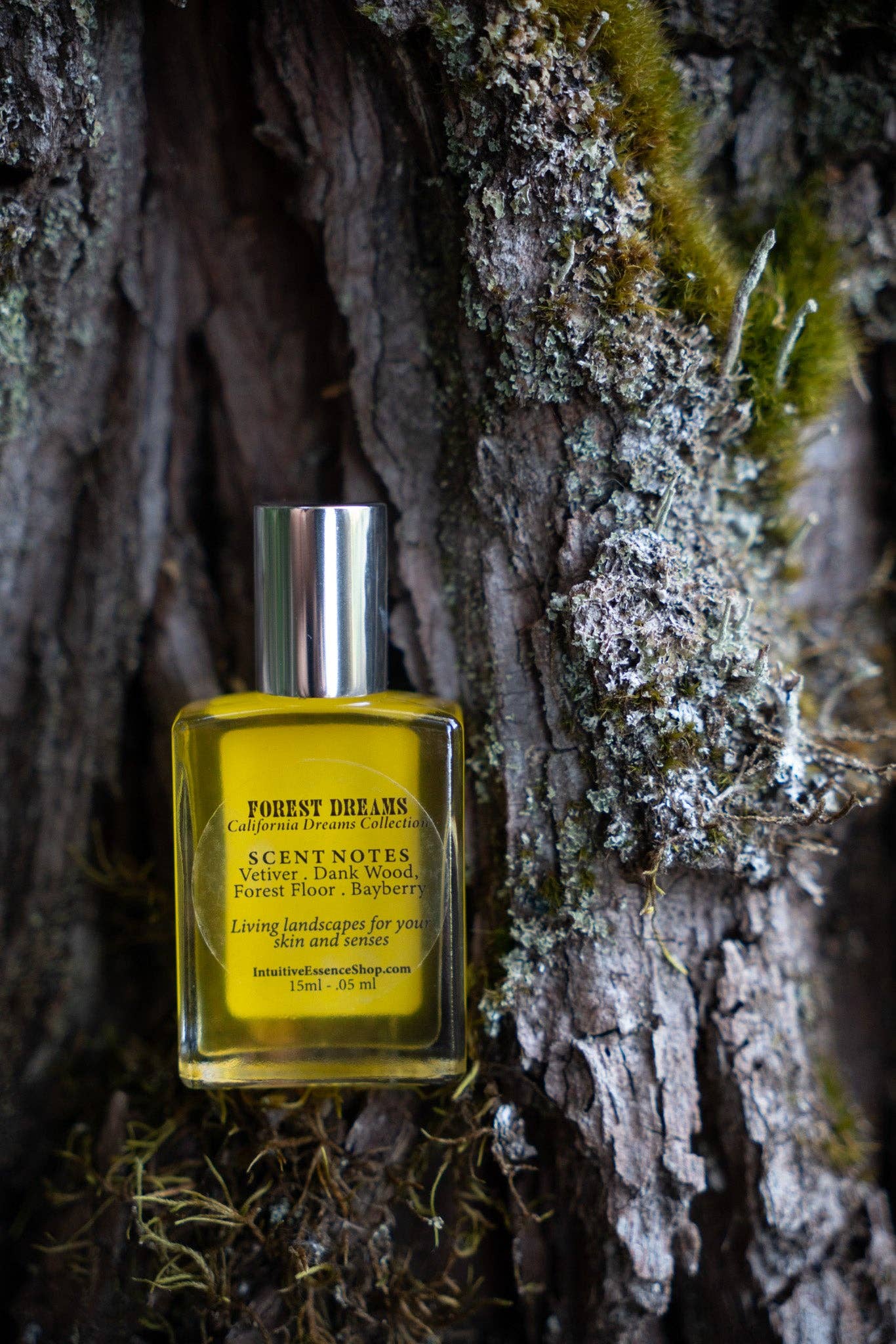 Intuitive Essence - Wholesale Perfume/Eau de Toilette - Forest Dreams1