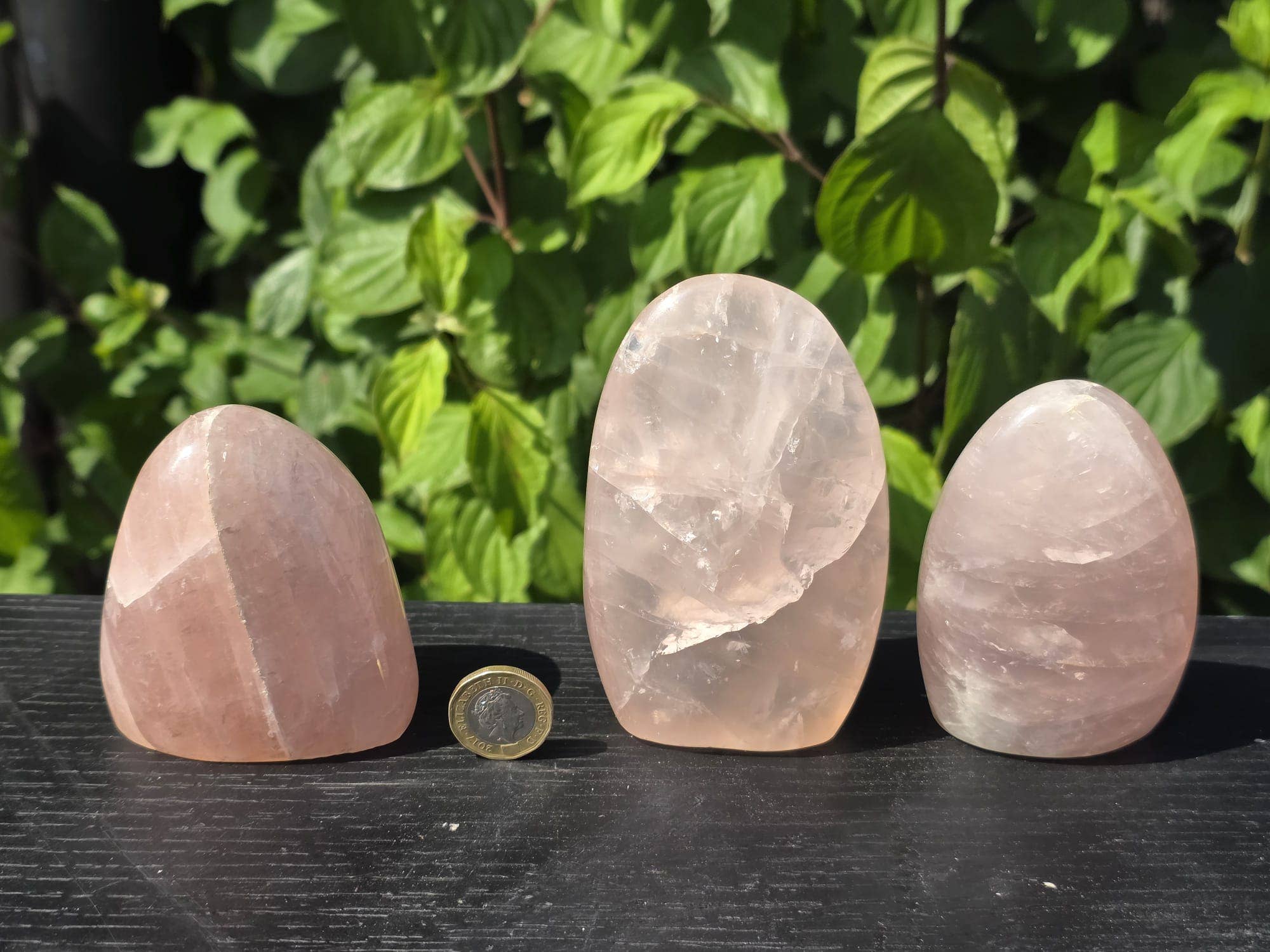 Distinction Crystals – wholesale Spiritual stone/crystal – Large Rose Quartz Crystal Freeforms 300-500g0