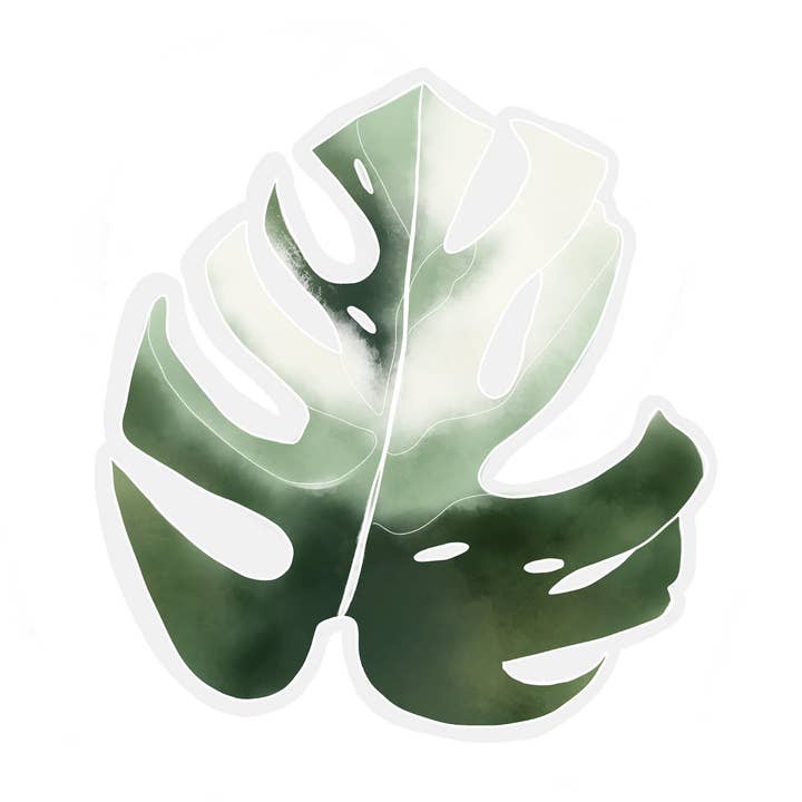 Transparent Monstera Waterproof Sticker for Laptops for wholesale by Home Folk Studio