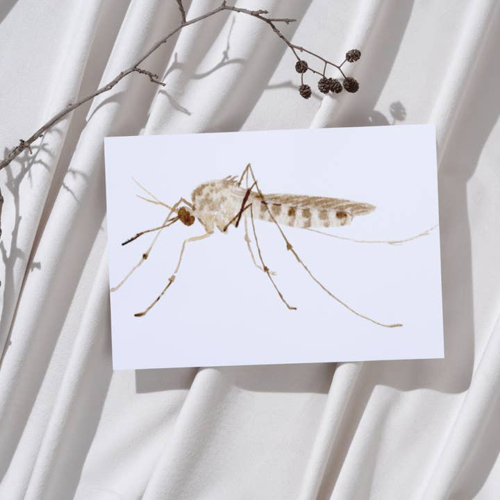 Dead Air Doodles - Wholesale Art Print - Skeeter Skeeter Print0