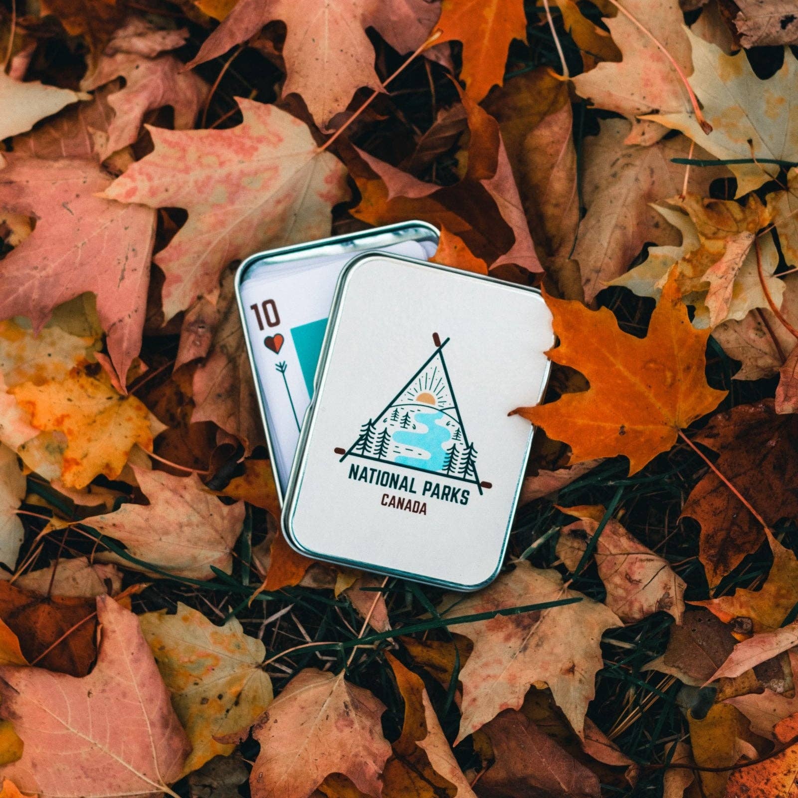 Canada Untamed - Wholesale Playing cards - Canada National Parks Waterproof Playing Cards1