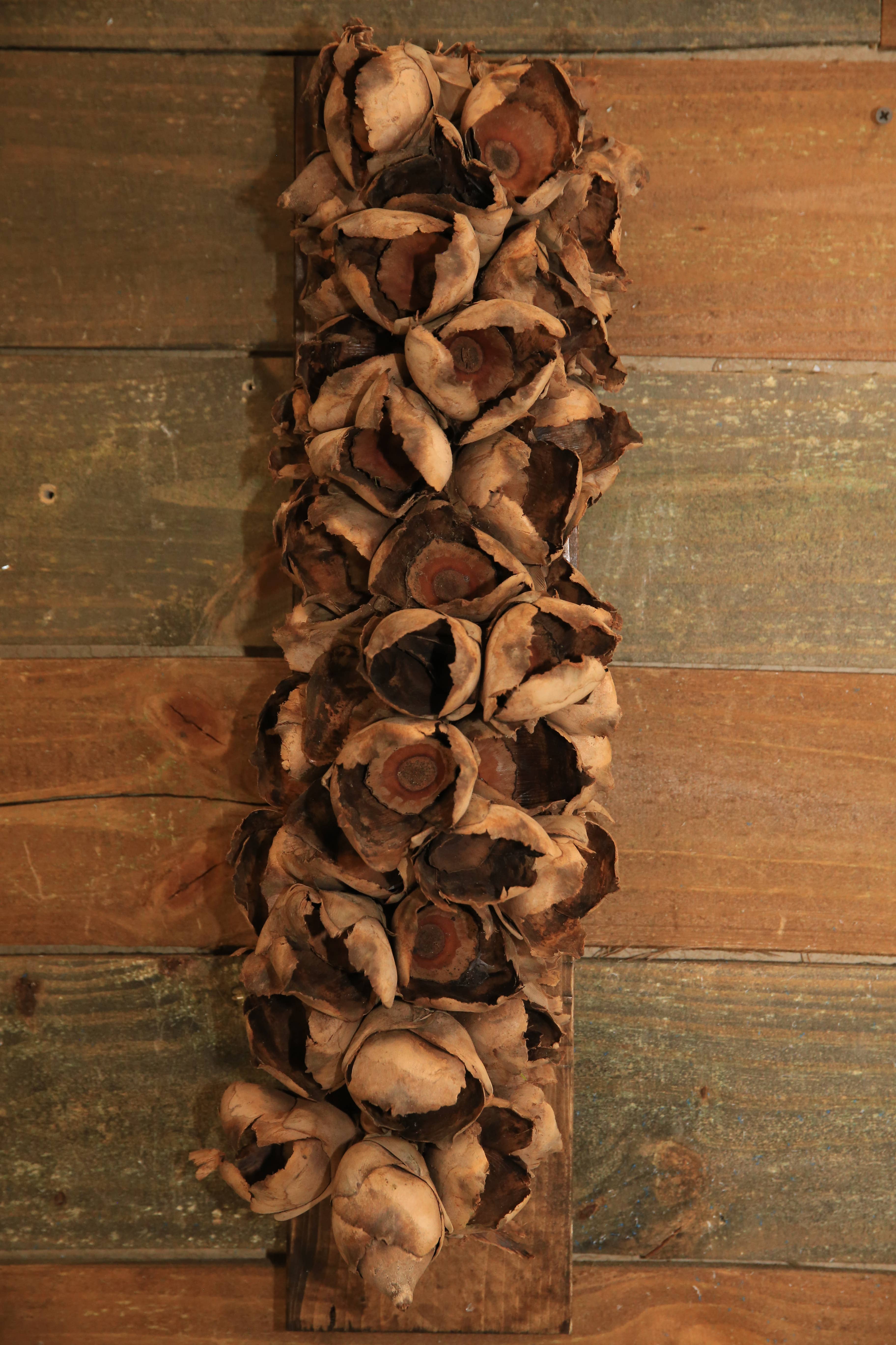 Forever Green Art - Wholesale Decorative Tabletop Object - Medium Seed Pod With Wood Base0