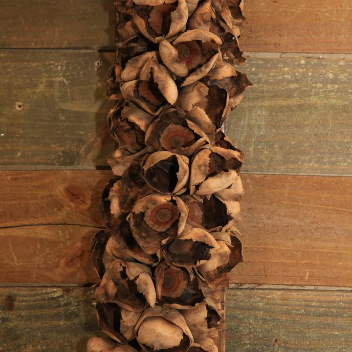 Forever Green Art - Venta al por mayor Artículo decorativo de mesa - Cápsula de semillas mediana con base de madera