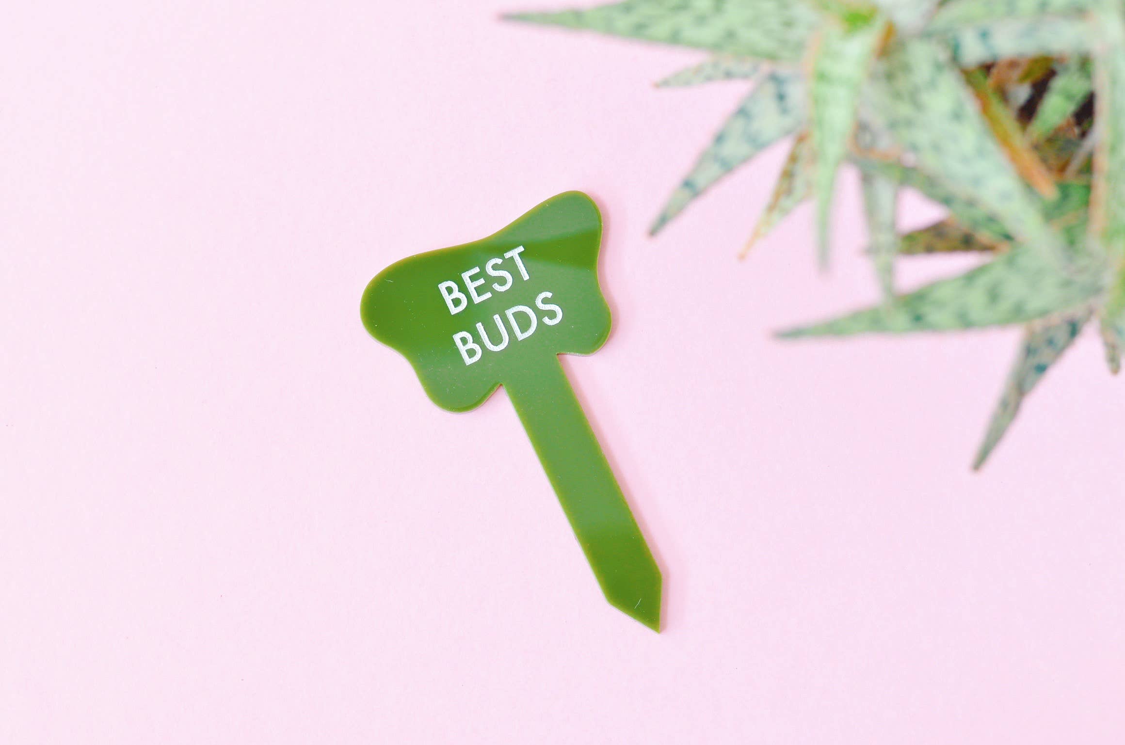 Tuff Girl Gang - Wholesale Plant Pot - BEST BUDS Plant Stake