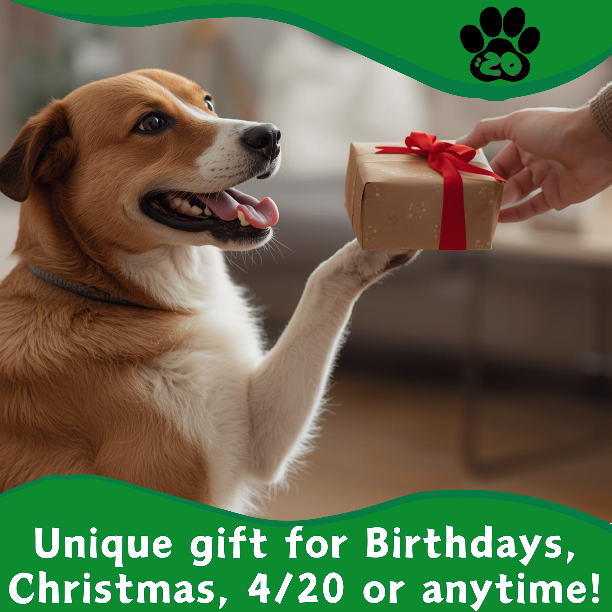 PAW:20 - Wholesale Pet Plush Toy - Dog - Bo da Bong, Parody Plush Rasta Color Squeaker 420 Dog Toy3