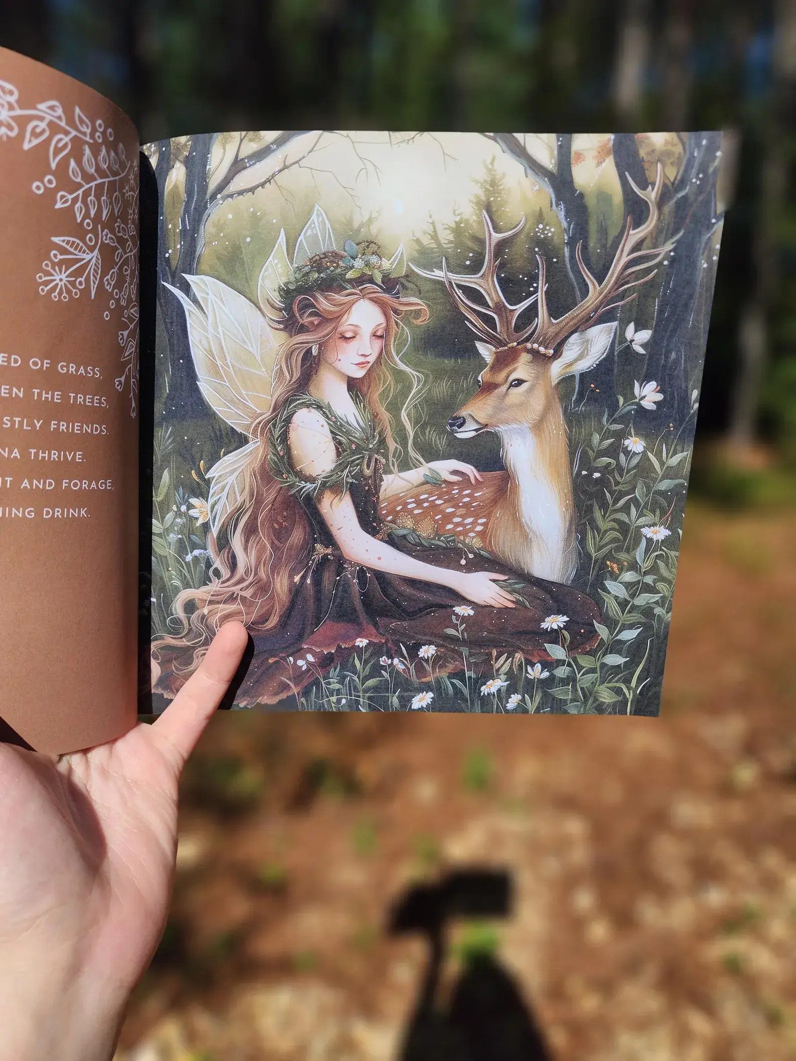 Author Linda Blackmoor - Wholesale Preschool Book (3-5) - Fairies of the Forest1