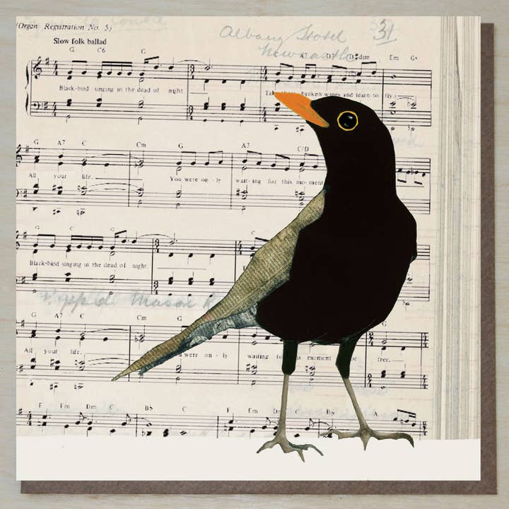 Blackbird on Sheet Music Card (British Birds) for wholesale by Windsock Press